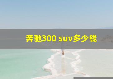 奔驰300 suv多少钱